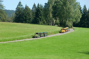 arberbahnb310
